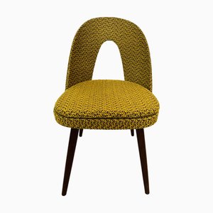 Mid-Century Esszimmerstuhl von Antonin Suman, Tschechoslowakei, 1960er