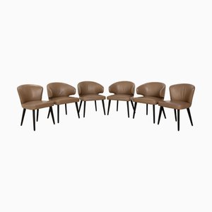 Aston Dining Chairs in Brown Leather from Minotti, Set of 6