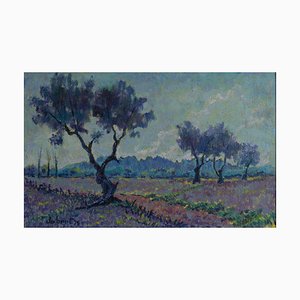 Joan Jubert Segon, Campos de lavanda y olivos, Primavera (primavera), años 70, óleo sobre lienzo