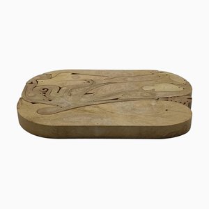 16 Pesci Puzzle aus Harz von Enzo Mari für Danese, Italien, 1970er, 16 Set