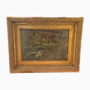 Paesaggio, XIX secolo, Olio su tela, In cornice