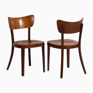 Vintage Stühle aus Bugholz, 1950, 2er Set