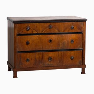 Antique Biedermeier Style Chest of Drawers, 1830