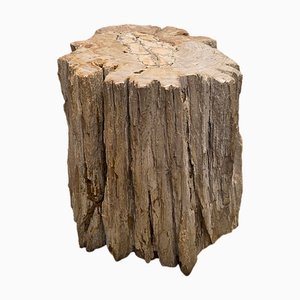 Table d'Appoint en Bois Pétrifié