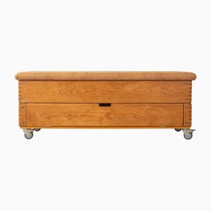 Vintage Vaulting Chest, 1960s