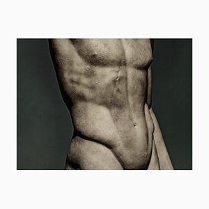 Guy Sargent, Alpha 2, Archivaler Pigmentdruck