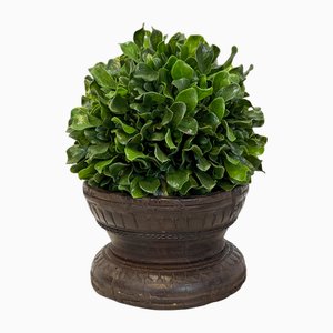 Vintage Seed Sorter Topiary, 1960s