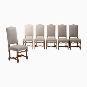 Vintage Dining Chairs, 1950s, Set of 6