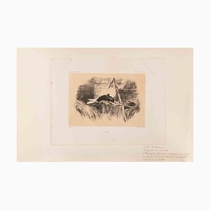 Karl Bodmer, Pigeon, Lithograph, 19th Century