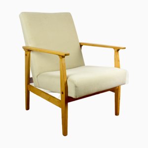 Vintage Lounge Chair in Beige, 1970s
