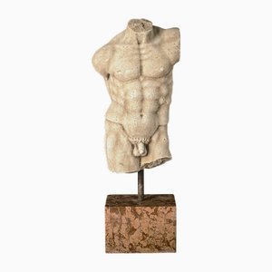 Male Nude Torso in Marble by Marco D'Urso