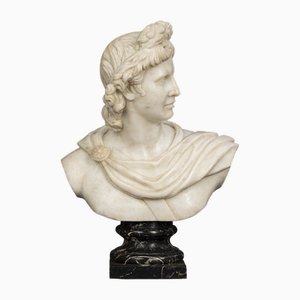 Marble Bust of Apollo De Belvedere by Marco D'Urso