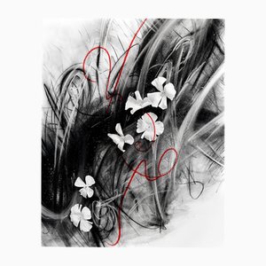 Ugne Pouwell, Underline, 2025, Mixed Media Charcoal and Floral Photography Print