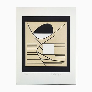 Victor Vasarely, Balaton, 1989, Silkscreen