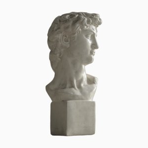 After Michelangelo, Büste von David, 1970er, Stone