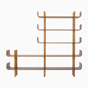 Vintage Bücherregal aus Teak & Birke von Wilhelm Lutjens für Den Boer, 1950er