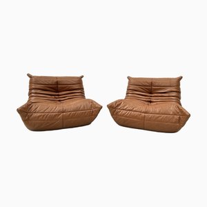 Poltrone Togo in pelle color cognac attribuite a Michel Ducaroy per Ligne Roset, set di 2