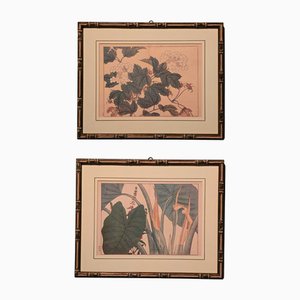 Suzuki Sonoichi and Nakano Sonoaki after Sakai Hoitsu, Flowers, 1950s, Prints, Framed, Set of 2