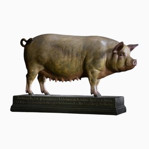 Max Landsberg, Pig Model, 1889, Plaster