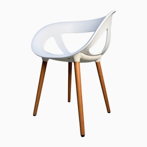 Sedia Moema BL Design Shell, Italia, anni '10