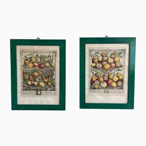 Robert Furber, Months of Fruits February & April 1732, 1970er, Drucke, 2er Set