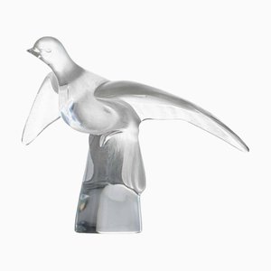 Frosted Crystal Dove in Flight Sculpture from Lalique, France, 1975