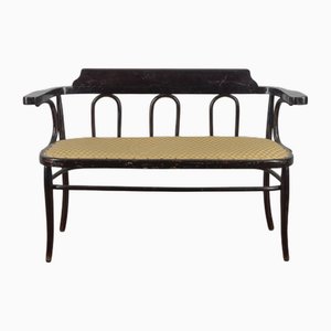 Canapé Antique de Style Viennois avec Accoudoirs