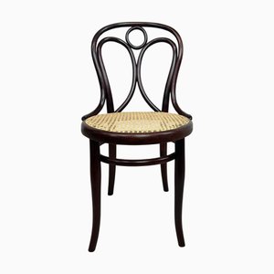 Sedia da pranzo in legno curvato di Thonet, 1900