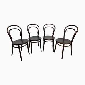 Esszimmerstühle aus Bugholz von Ton Bystřice Pod Hostýnem, 1960er, 4er Set