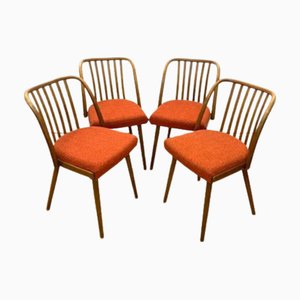 Tschechoslowakische Stühle von A. Šuman, 1960er, 4er Set