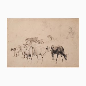 Thomas Sidney Cooper or Follower, Study of Cattle and Sheep, 1890s, Graphite Drawing