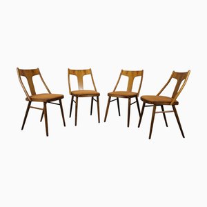 Vintage Czechoslovakian Dining Chairs in Walnut, 1950s, Set of 4