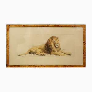 Herbert Dicksee, Lion, Engraving on Paper
