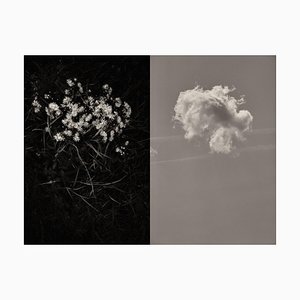 Jaume Llorens Bach, Gaia Diptych #78, Monochrome Photographic Print