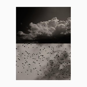 Jaume Llorens Bach, Gaia Diptychon #59, Monochrom Fotodruck