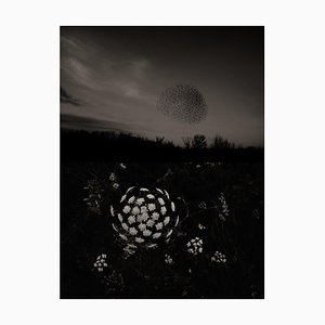 Jaume Llorens Bach, Gaia Diptych #68a, Monochrome Photographic Print