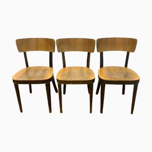 Sillas de Thonet, Checoslovaquia, años 50. Juego de 3