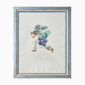 Salvador Dali, Prunier hâtif (Prisa Plum-Tree), 1969, Litografía con grabado