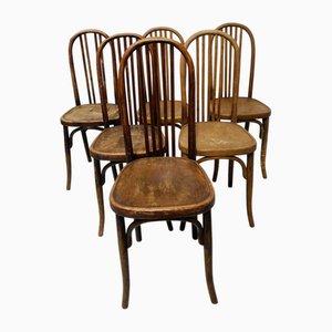 Bentwood Chairs, 20th Century, Set of 6