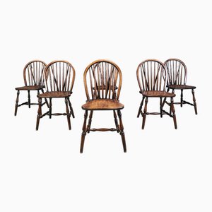 Vintage Dining Chairs from Ercol, 1950s, Set of 6