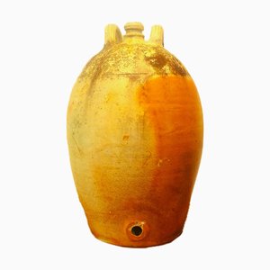 Large French Olive or Walnut Oil Jug, 1850s