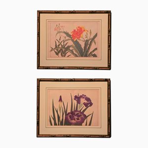 Suzuki Sonoichi and Nakano Sonoaki after Sakai Hoitsu, Flowers, 1950s, Prints, Framed, Set of 2