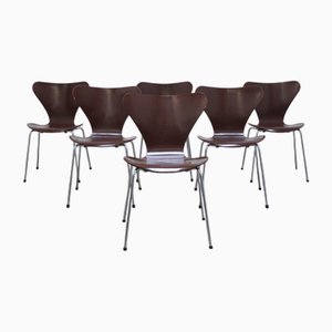 Series 7 Chairs by Arne Jacobsen for Fritz Hansen, 1975, Set of 6