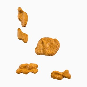 Volume 02 Hand-Carved Wall Pieces in Stained Abachi Wood by Tellurico, Set of 5