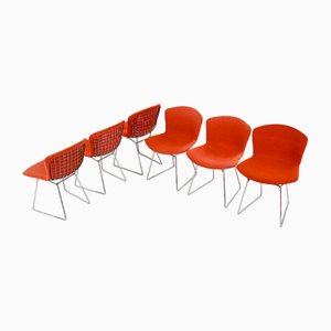 Side Chairs & Dining Chairs by Harry Bertoia at Pamono