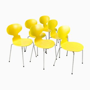 Paire de fauteuils des Années 1960, Design par Robin Day