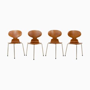 Arne Jacobsen's Ant Chairs Online Shop | Shop seating at PAMONO