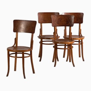 Bent Plywood Chairs Online Shop | Shop Bent Plywood Chairs at PAMONO