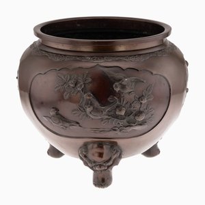 Japanese Pflanzgefe und bertpfe online bei Pamono
