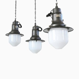 Marianne Brandt Online Shop | Shop Design at Pamono